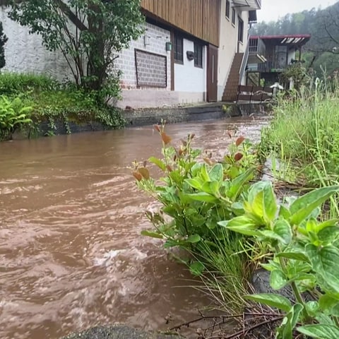 Das Hochwasser an der Wieslauter in der Südwestpfalz ist bislang nicht besorgniserregend. Es hat viel geregnet. 