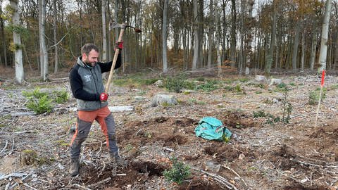 Projektleiter Jonathan Schüppel packt beim Pflanzen der Bäume auch selbst mit an. (Foto: SWR)