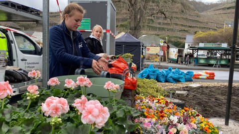 Freiwillige Helferinnen pflanzen bunte Blumen in Mayschoß ein, um den Ort nach der Flut wieder bunter zu gestalten. (Foto: SWR)