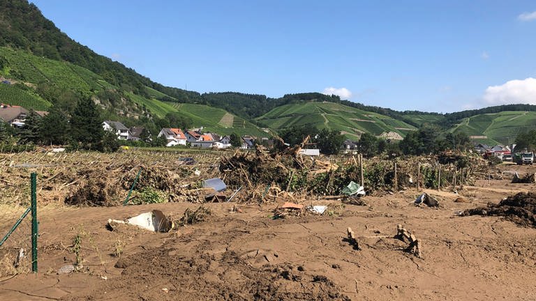 Zerstörte Weinberge nach dem Hochwasser an der Ahr (Foto: SWR)
