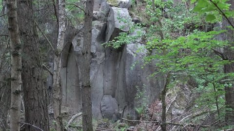 Klettern in der Eifel: im ehemaligen Basalt-Steinbruch von Ettringen-Kottenheim (Foto: SWR, Winkler)