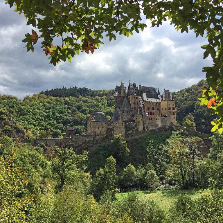 Blick auf die Burg Eltz (Foto: SWR)