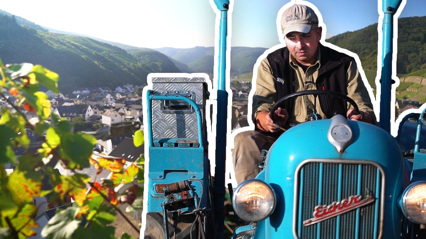 Winzer bei der Weinlese in Dernau nach der Hochwasserkatastrophe in der Reportagereihe ein Dorf baut auf
