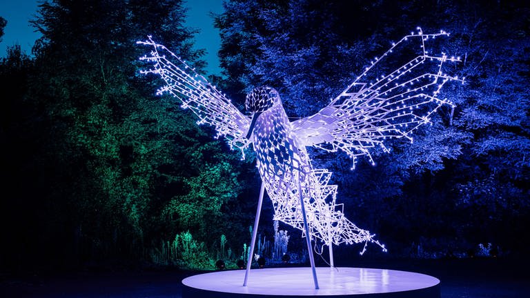 Ein überdimensional großer beleuchteter Kolibri  (Foto: Pressestelle, Lumagica / Katja Schmidbauer)