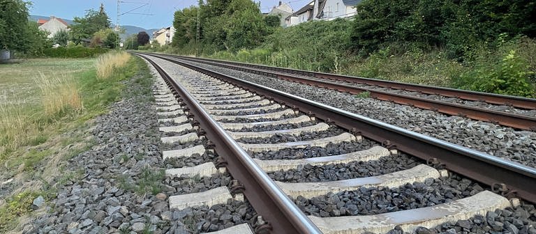 Südlich von Koblenz musste ein IC der Deutschen Bahn evakuiert werden. Inzwischen sind die Gleise wieder frei. (Foto: SWR, Bruno Nonninger)
