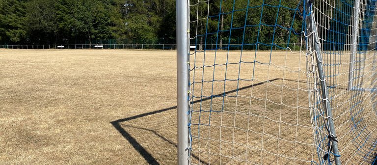 Spielen unmöglich: Der Fußballplatz des SV Marsburg im Kreis Cochem Zell ist völlig vertrocknet. (Foto: SWR)