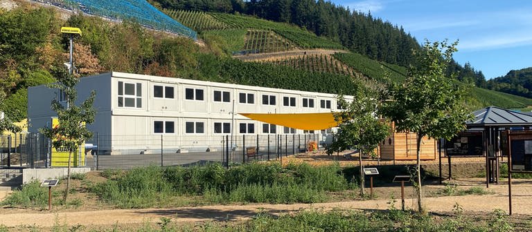 Die Grundschule Dernau befindet sich ab diesem Schuljahr in einer provisorischen Containeranlage im Ortsteil Marienthal. (Foto: SWR)