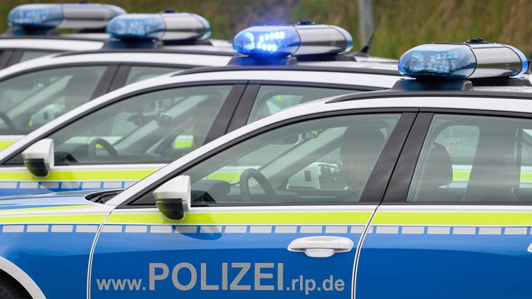 Polizeiautos (Foto: dpa Bildfunk, picture alliance/dpa | Thomas Frey)