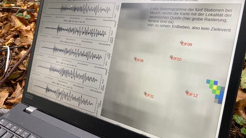 Ahrtal: Die Strömung an der Ahr wird seismologisch erfasst. Ein Blick auf den Bildschirm des Wissenschaftlers. (Foto: SWR)