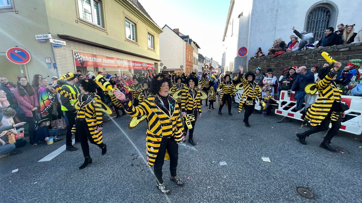 Eine Fußgruppe verkleidet als Bienen läuft durch die Straßen (Foto: SWR)