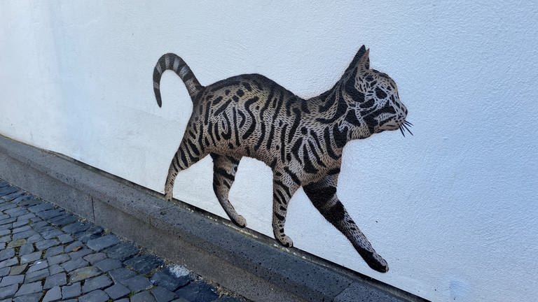 Streetart Katze von JPS vor der Stadtgalerie Neuwied (Foto: SWR)