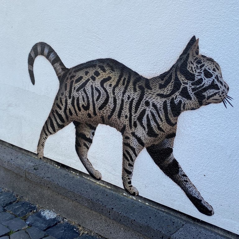 Streetart Katze von JPS vor der Stadtgalerie Neuwied (Foto: SWR)