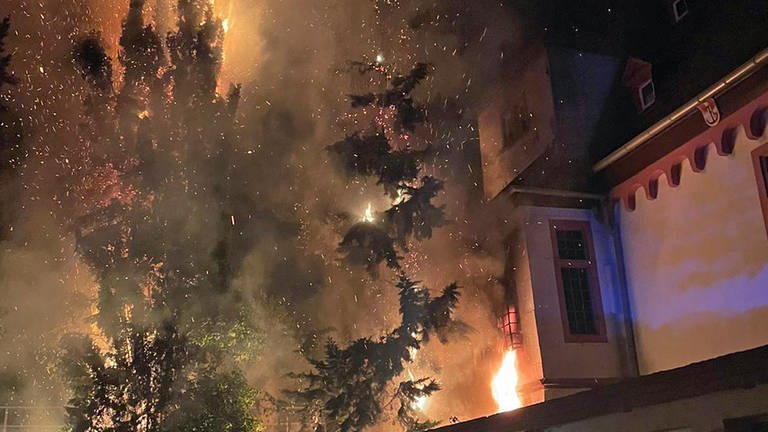 Thuja-Hecke brennt neben Martinsschloss in Lahnstein (Foto: Feuerwehr Lahnstein)