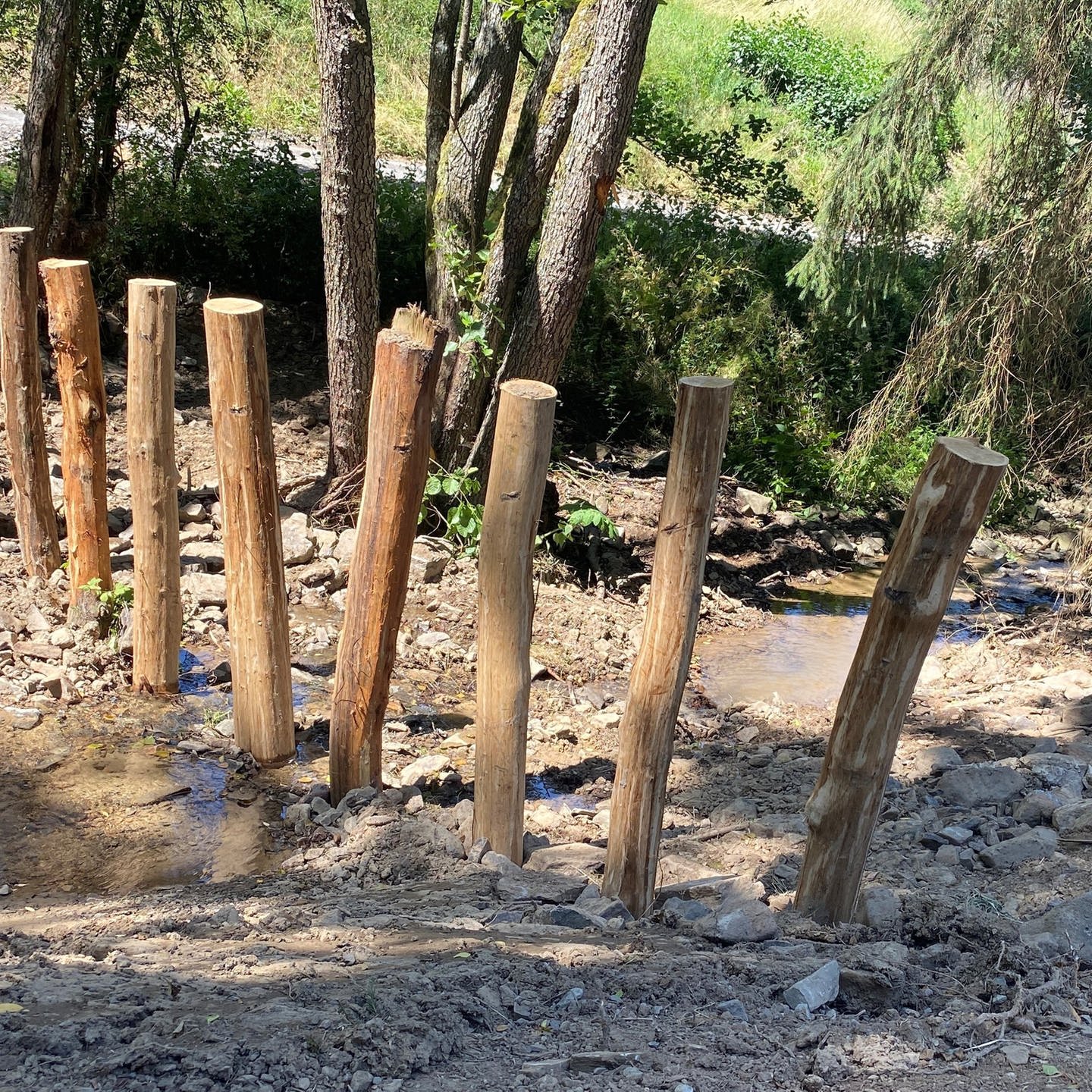 Hochwasserschutz im Ahrtal: Diese Projekte gibt es schon - SWR Aktuell