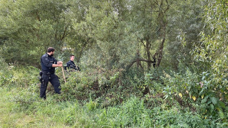 Polizisten suchen nach einer Vermissten aus Montabaur im Dickicht am Lahnufer bei Limburg. (Foto: SWR)