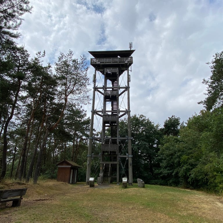 Der 25-Meter hohe Booser Eifelturm (Foto: SWR)