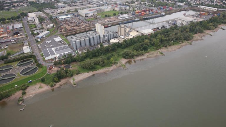 Starker Regen - bei Koblenz ist Öl in den Rhein gelaufen (Foto: Wasserschutzpolizei Koblenz)