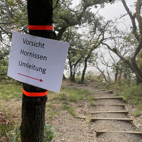Umleitungsschild mit Warnung vor Hornissen am Klettersteig in Boppard. (Foto: SWR)