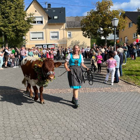 Frau in Dirndl führt Kuh bei Almabtrieb durch Niederelbert im Westerwald. (Foto: SWR)