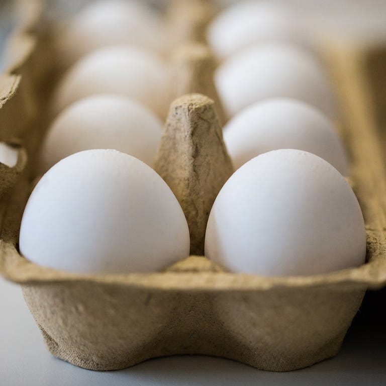 Eier in einem Pappkarton (Foto: picture-alliance / Reportdienste, picture alliance / Marcel Kusch/dpa)