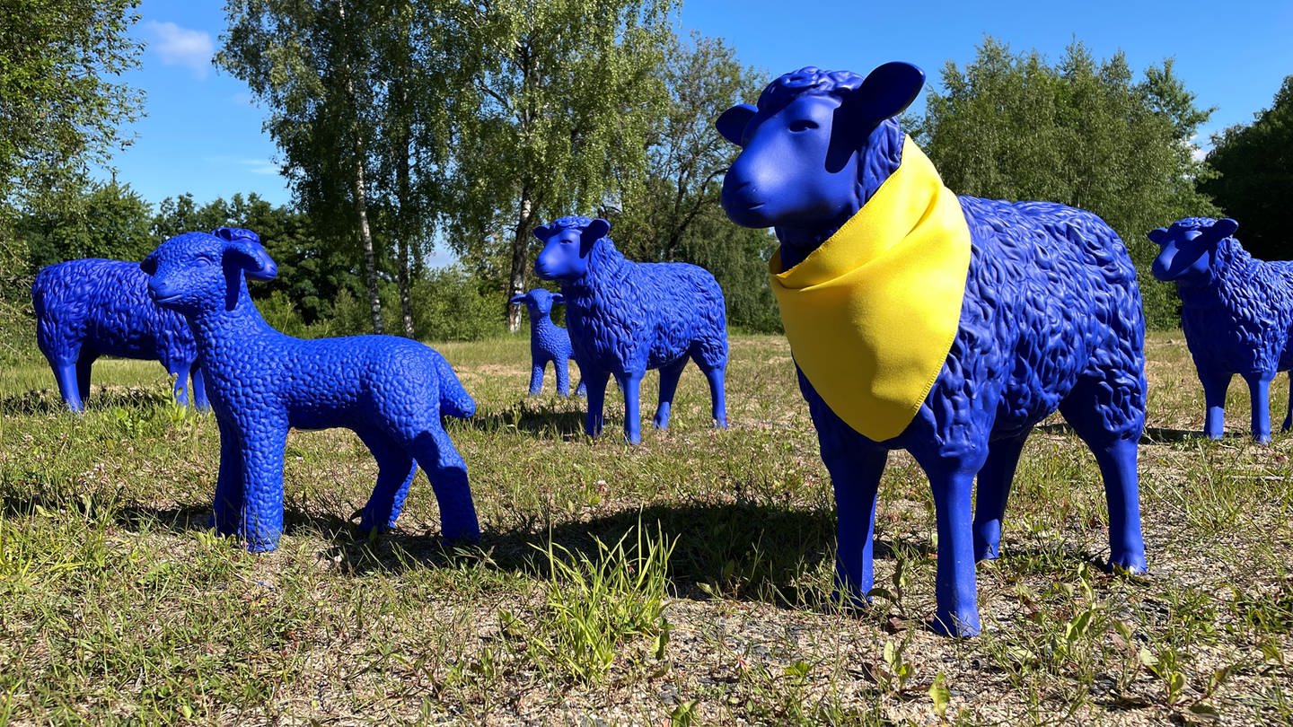 Die Blaue Friedensherde zu Gast im Stöffelpark. (Foto: SWR)