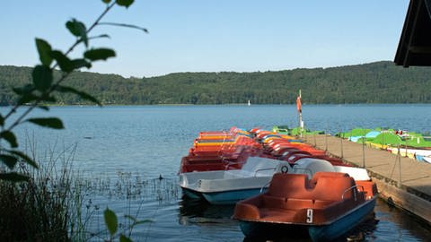 Boote liegen am Steg im Laacher See (Foto: SWR)