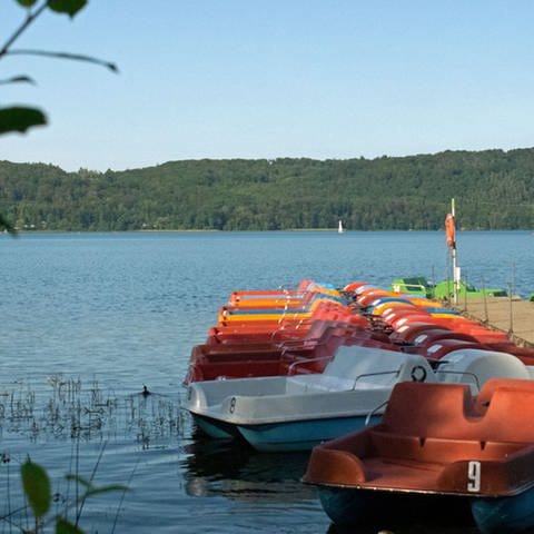 Boote liegen am Steg im Laacher See (Foto: SWR)
