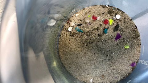 Kleine bunte Plastikteilchen in einer Probe  (Foto: SWR)