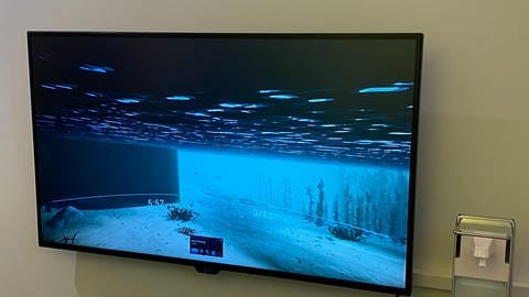 Das Informationszentrum Mosellum in Koblenz hat eine neue interaktive Lernstation. Ein Virtual-Reality-Spiel führt den Besucher in die Unterwasserwelt der Mosel und klärt über die Gefahren von Plastikmüll in Gewässern auf.  (Foto: SWR)