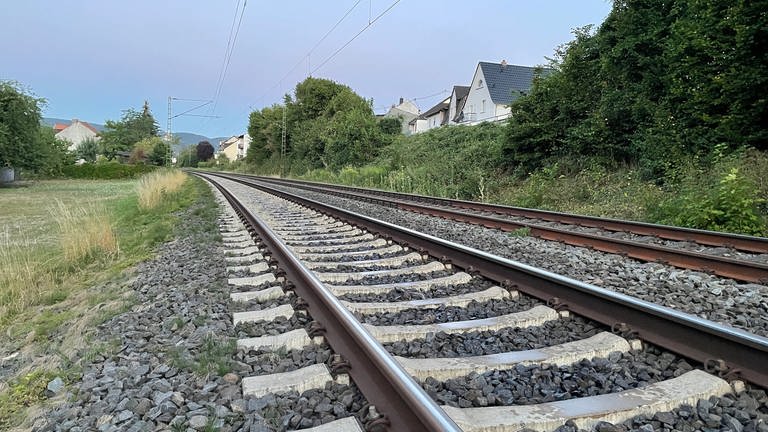 Südlich von Koblenz musste ein IC der Deutschen Bahn evakuiert werden. Inzwischen sind die Gleise wieder frei. (Foto: SWR, Bruno Nonninger)