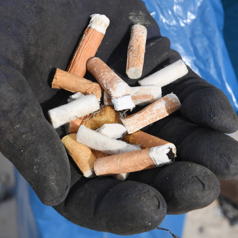 Eine Hand mit aufgesammelten Zigarettenkippen: In Neuwied sammeln Freiwillige der Gruppe "Cleanup Neuwied" Zigarettenkippen auf (Foto: picture-alliance / Reportdienste, Picture Alliance)