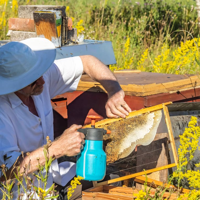Imker haben wegen der Trockenheit so wenig Honig geerntet, wie schon seit Jahren nicht mehr. (Foto: IMAGO, IMAGO / Arnulf Hettrich)