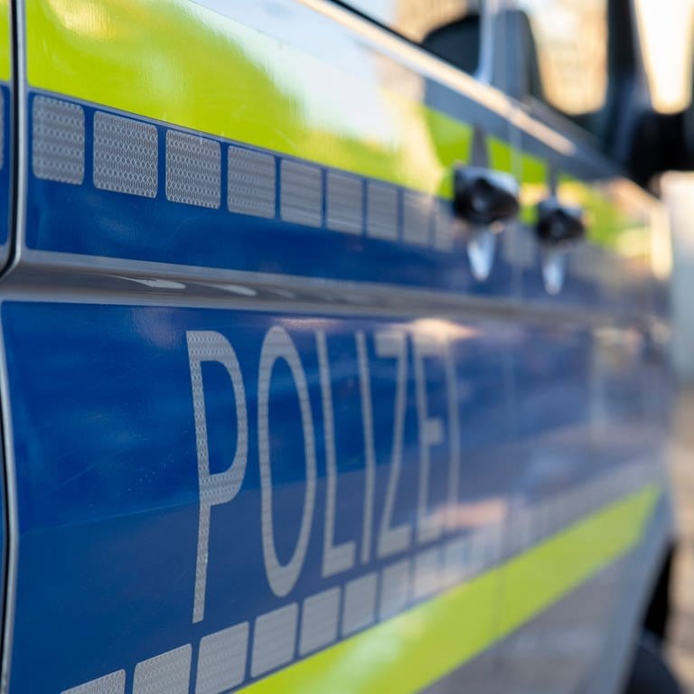 Polizeiauto - die Polizei hat in Koblenz eine eingesperrte Ziege und einen Hund aus einem Auto befreit. (Foto: dpa Bildfunk, Picture Alliance)