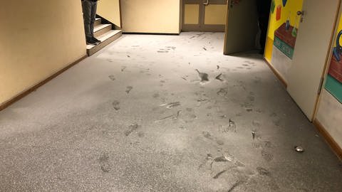 Unbekannte haben Löschschaum in einem Flur des Werner-Heisenberg-Gymnasiums versprüht (Foto: Pressestelle, Polizeiinspektion Neuwied)