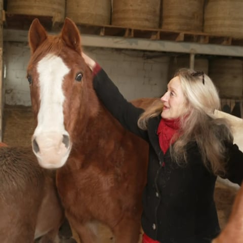 Tierschützerin Andrea Mais mit ihren Pferden auf dem Gnadenbrothof Ziegenhain (Foto: SWR)