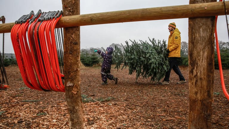 Auf einem Holzgestell hängen ordentlich aufgereiht zahlreiche Sägen, während im Hintergrund Vater und Tochter ihren Weihnachtsbaum tragen (Foto: picture-alliance / Reportdienste, Mascha Brichta)