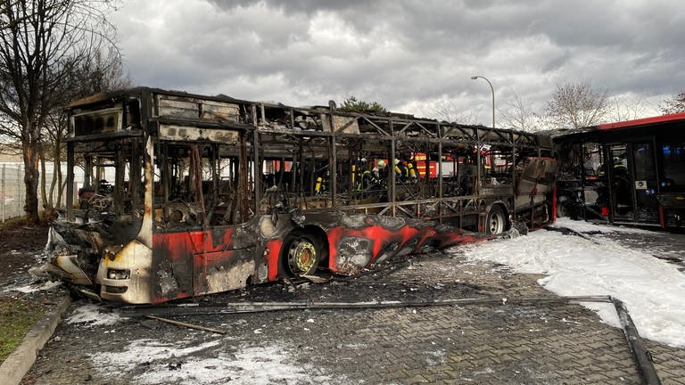 Ein abgebrannter Bus steht auf einem Abstellplatz in Koblenz-Wallersheim. Dort haben am Montagvormittag fünf Linienbusse gebrannt. (Foto: SWR)