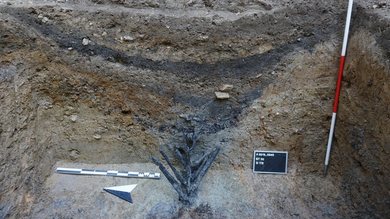Besonderer Fund: Hölzerne Abwehrkonstruktionen der Römer bei Ausgrabungen nahe Bad Ems gefunden. (Foto: Frederic Auth)