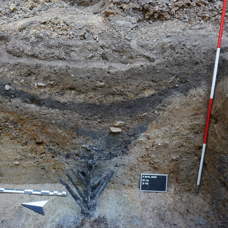 Besonderer Fund: Hölzerne Abwehrkonstruktionen der Römer bei Ausgrabungen nahe Bad Ems gefunden. (Foto: Frederic Auth)