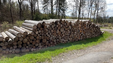 Ältere Holzstapel wie diesen findet man öfter im Westerwald. Die Käufer haben sie oft einfach vergessen.