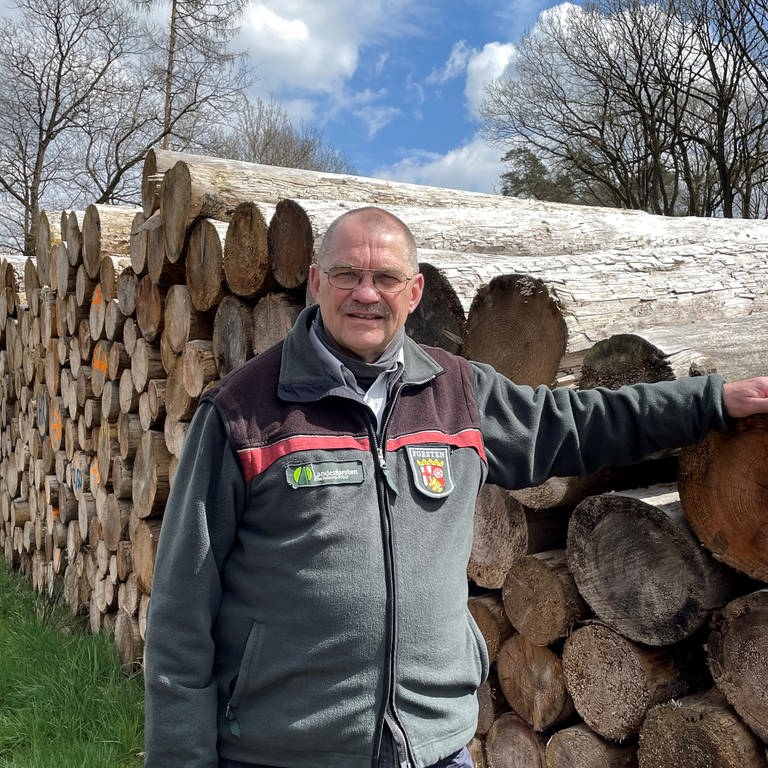 Forstamtsleiter Michael Weber neben einem alten Holzstapel bei Weyerbusch im Westerwald. (Foto: SWR)