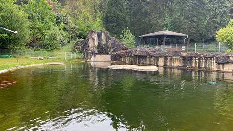Alte Seehundanlage im Zoo Neuwied