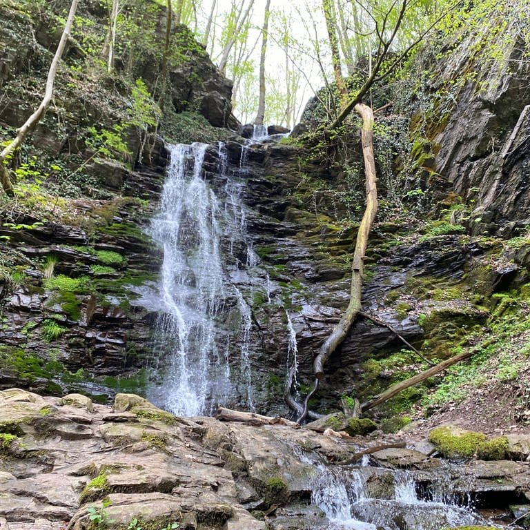 Ein Wasserfall stürzt in die Tiefe. Die HeimatSpur Wasserfall-Erlebnisroute bei Bad Bertrich ist nominiert Deutschlands schönster Wanderweg zu werden. 