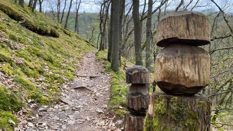 Zwei geschnitzte Holzpilze stehen am Rand eines Wanderwegs. Unterwegs auf der HeimatSpur Wasserfall-Erlebnisroute bei Bad Bertrich verändert sich die Landschaft immer wieder. (Foto: SWR)