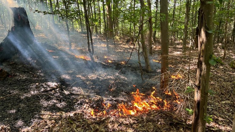 In einem Waldstück bei Alsdorf im Kreis Altenkirchen brennt ein kleines Feuer