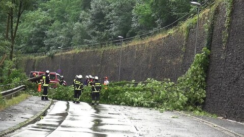 Unwetter lässt über Region Cochem Bäume umstürzen