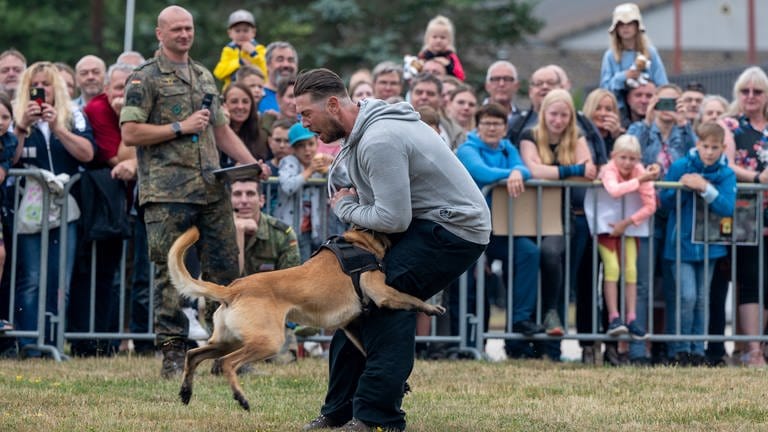 Ein Diensthund demonstriert beim "Tag der offenen Tür" der Schule für Diensthundewesen der Bundeswehr in Ulmen den Einsatz gegen einen Angreifer. 