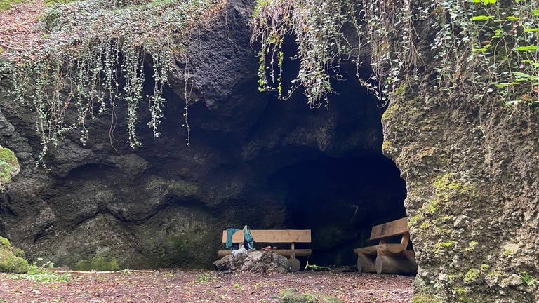 Das Bild zeigt eine höhle im Wald. 
