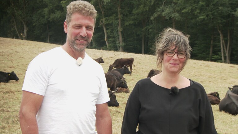 Das verwaltungsgericht Koblenz erlaubt zwei Rinderzüchtern, ihre Tiere per Kopfschuss auf der Weide zu töten.