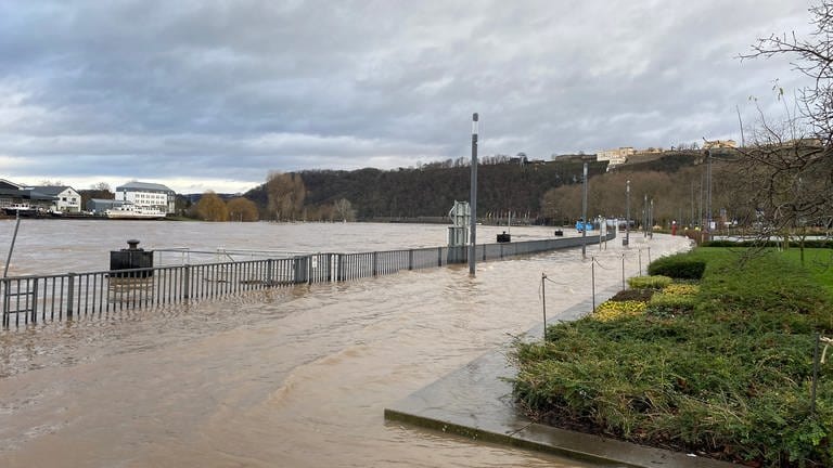 Das Hochwasser am Peter-Altmeier-Ufer in Koblenz